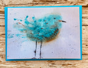 ‘Just a little bird’ art greeting cards x3 pack